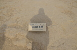 沙漠中的标识牌