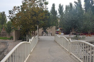 乡村白色桥边的绿树景致