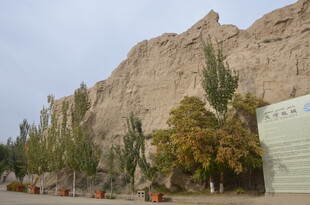 沙漠旁的绿树与建筑景观