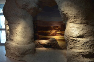 室内独特石质景观展示