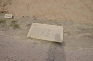 地面上的长方形石板