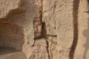 石壁上的奇特昆虫