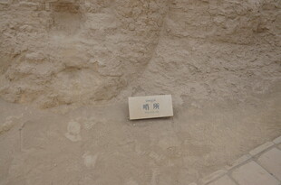 地面上的标识牌