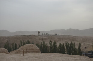 沙漠中的建筑与绿植景观