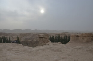 沙漠中的日光与稀疏植被