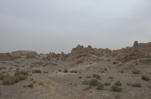 荒凉沙漠中的独特地貌