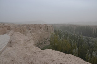 雾中崖边绿意景观