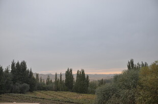 黄昏下的山林景色