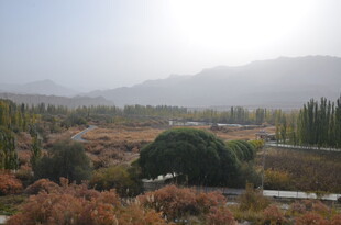 秋日乡村风光美景