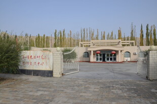 沙漠中的特色建筑大门