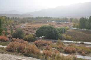 山间秋色田园风光景致