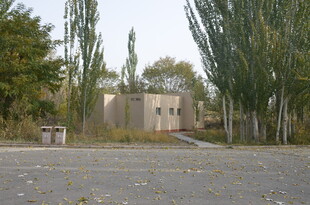 空旷场地旁的树木与建筑