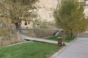 宁静小区内的绿化景观