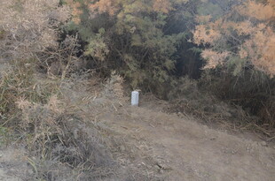 山间小径上的孤独身影