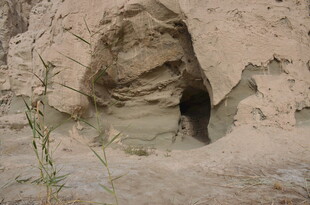 沙漠中的神秘洞穴