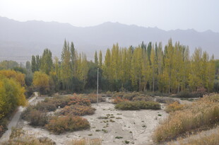秋日山林河谷风光