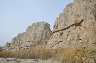 荒凉山崖边的枯黄植被