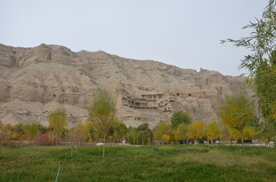 秋日山景下的多彩植被