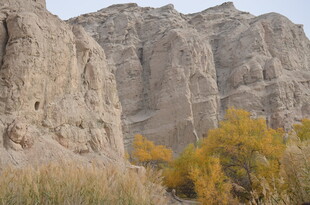 秋日峡谷边的金黄植被