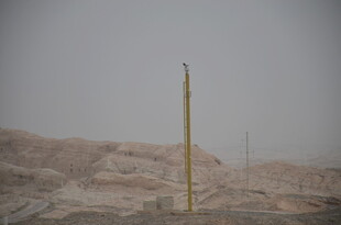 沙漠中的孤立电线杆