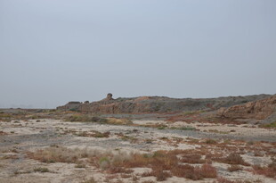 荒凉戈壁中的古老遗迹