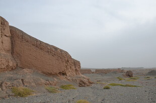 沙漠中的古老土壁遗迹