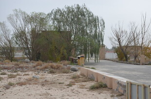 乡村路边的老旧房屋与树木