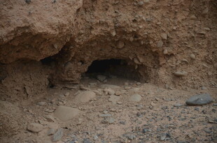 泥土中的神秘洞穴