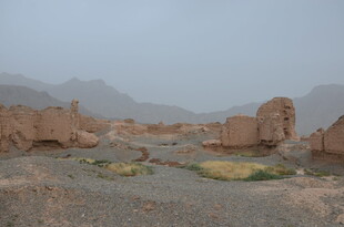 沙漠中的古老遗迹