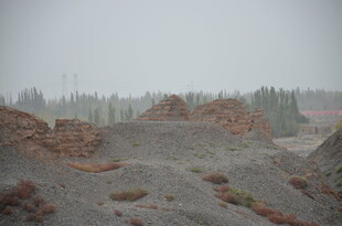 荒漠中的土堆与稀疏植被