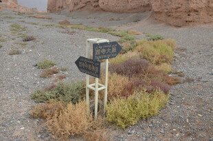 沙漠中的方向指示路标