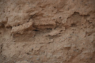 粗糙的褐色泥土纹理