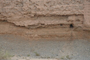 墙面剥落的破损景象