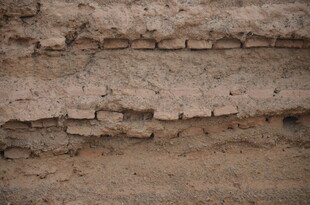 土壤剖面纹理特写