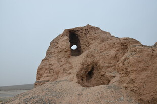 沙漠中的奇特多孔土岩