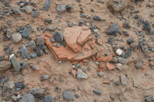 地面上的破碎红砖与碎石