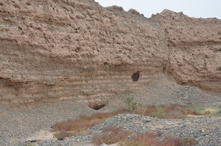 沙漠中的古老土崖遗迹