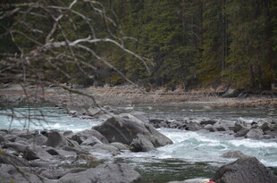 山间溪流穿石而过
