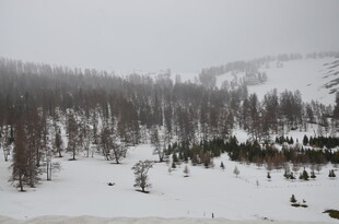 冬日雪景中的山林景观