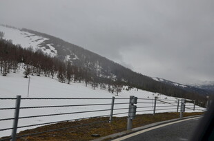 冬日公路旁的雪景风光