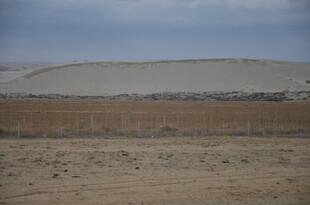广袤荒凉的原野景观