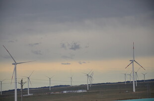 草原上的风力发电机组