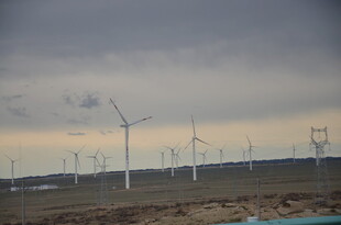 草原上的风力发电机组