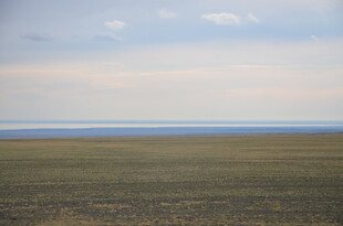 广袤草原 天际辽阔