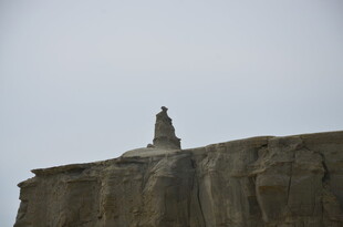 悬崖顶端的孤独身影