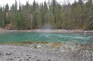 森林环绕的清澈河流