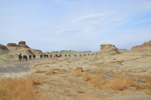 沙漠驼队穿行于荒凉之地