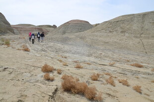沙漠徒步旅行者的探索之旅