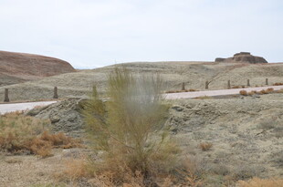 荒漠中的蜿蜒道路