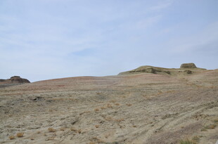 荒凉旷野中的开阔地貌